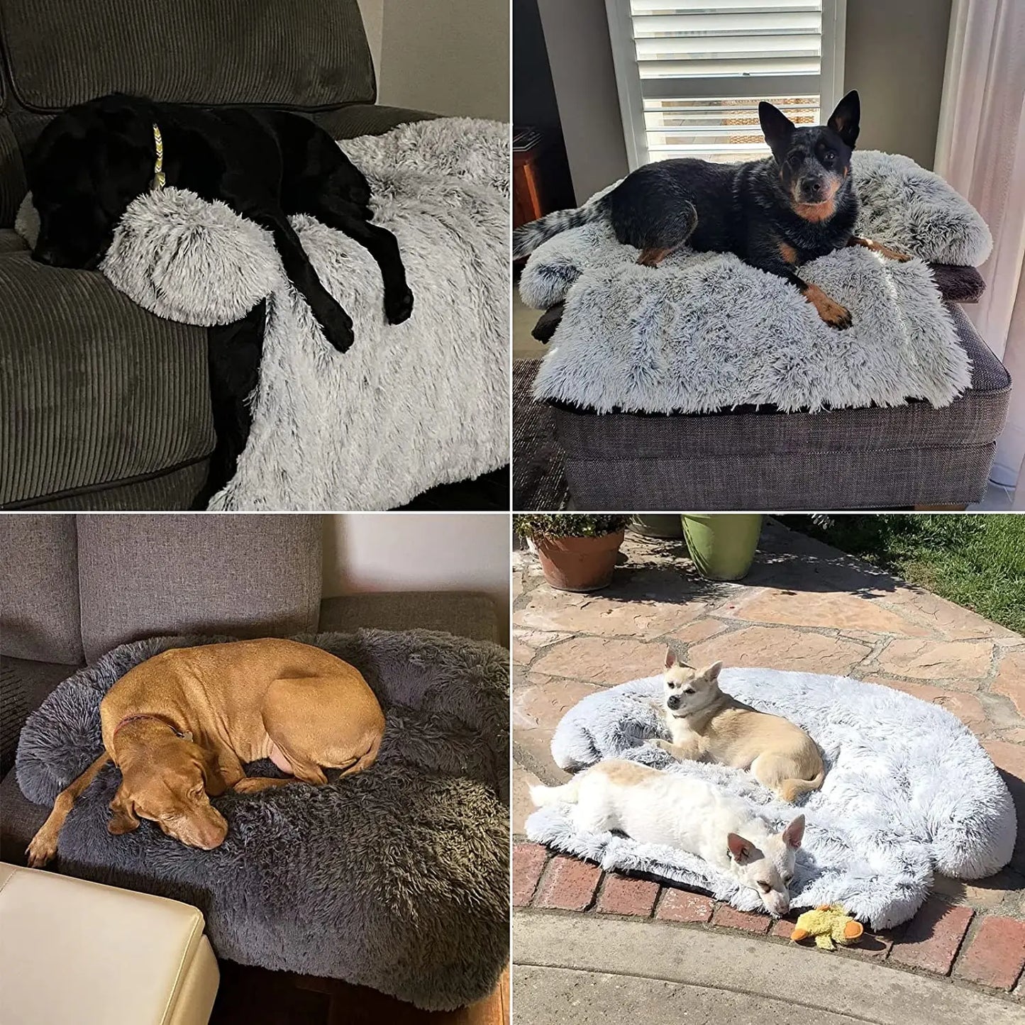 snuggle-haven-pet-sofa-removable-plush-bed